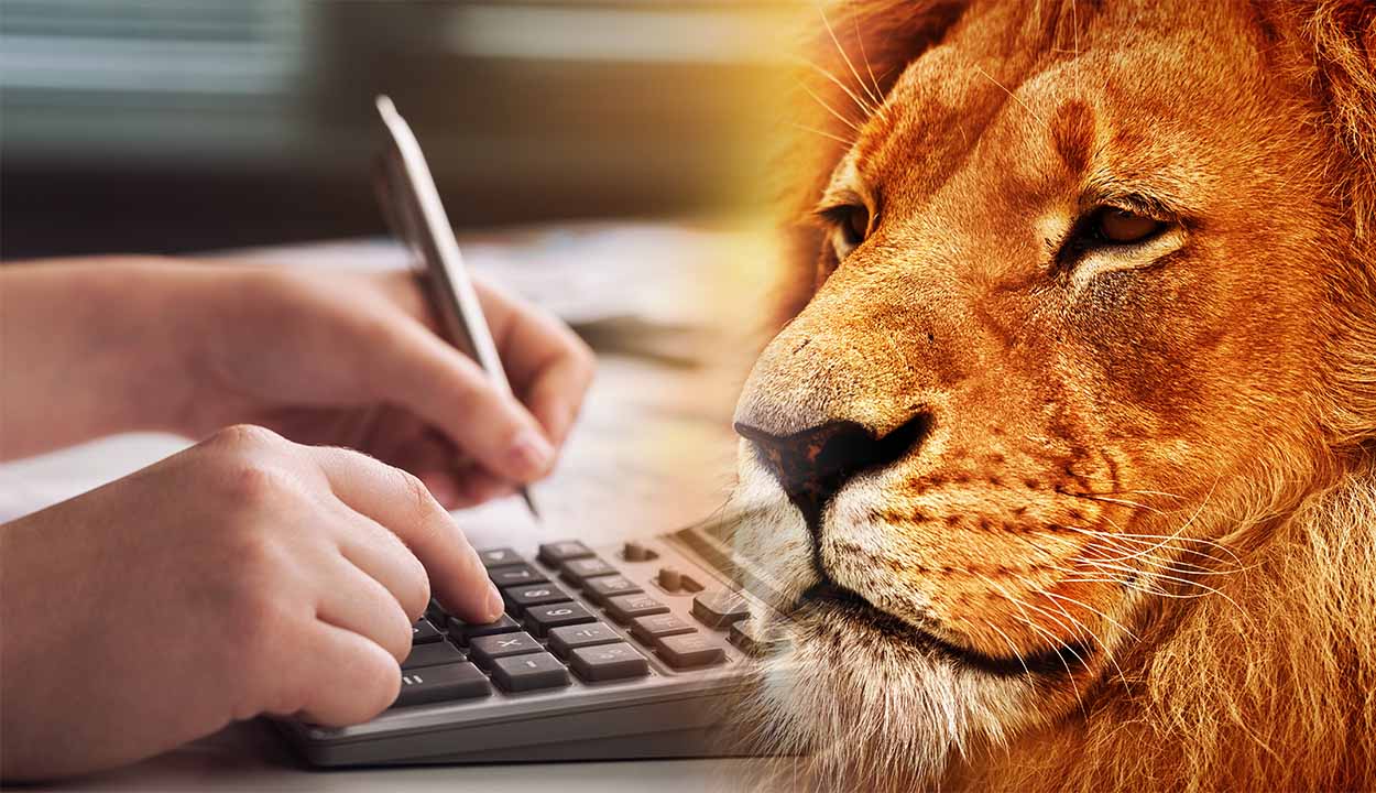 Como incluir aluguel pago na declaração do Imposto de Renda?