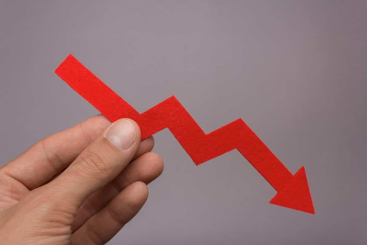 Havaianas em queda: situação da empresa preocupa mercado
