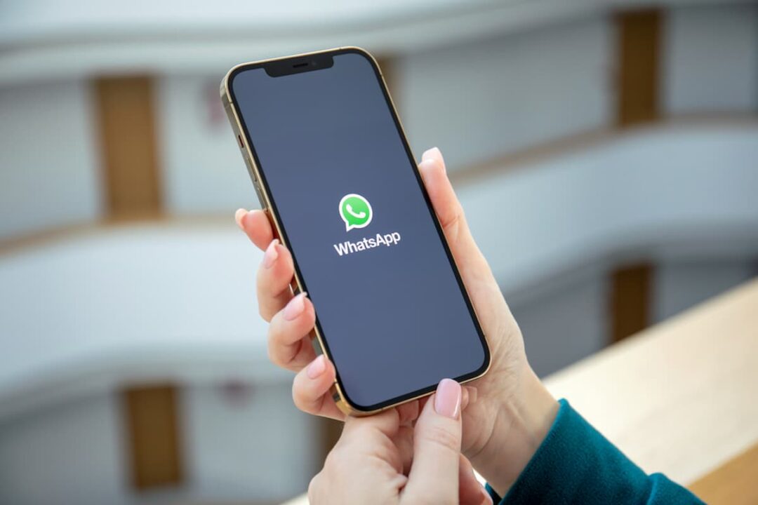 Mãos seguram smartphone com o aplicativo do WhatsApp aberto mostrando apenas o logo dele