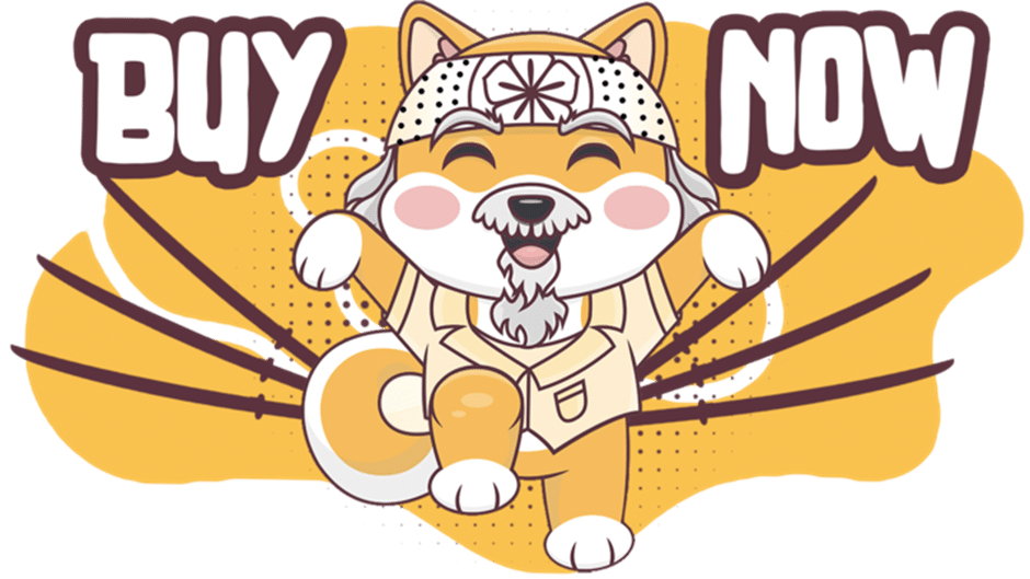 Buy Now DogeMiyagi