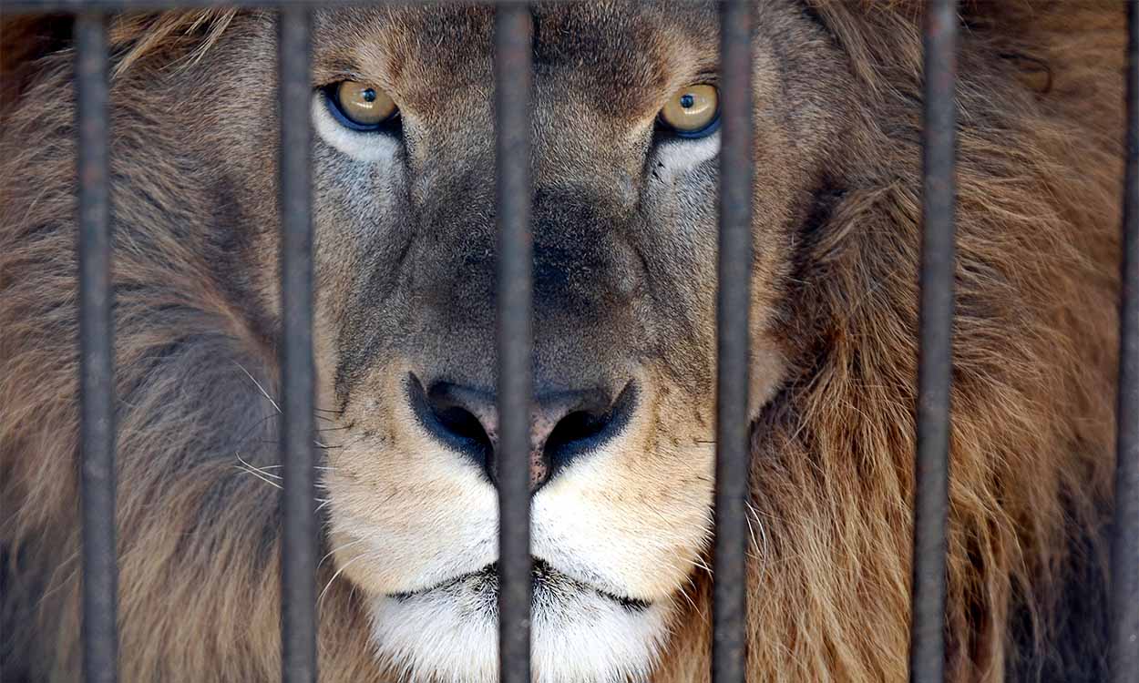 Este problema no Imposto de Renda dá até 5 anos de cadeia: como evitar?