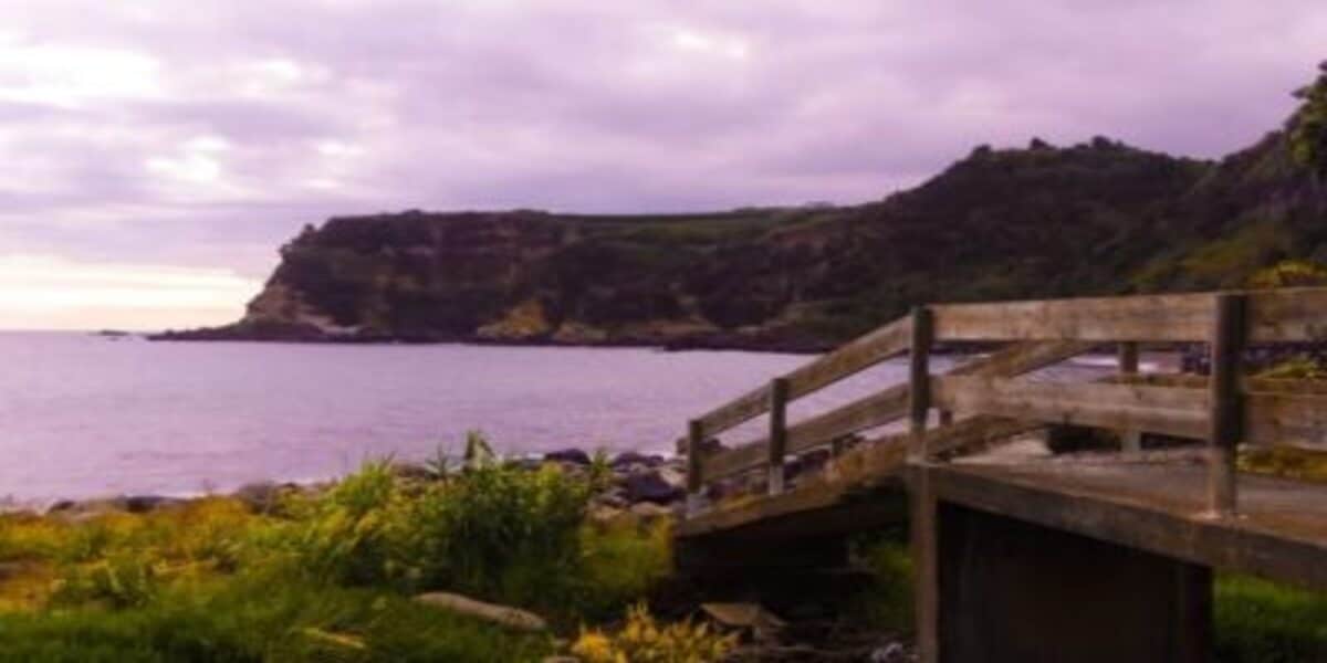Como participar do programa que paga R$ 440 mil para pessoas morarem na Irlanda