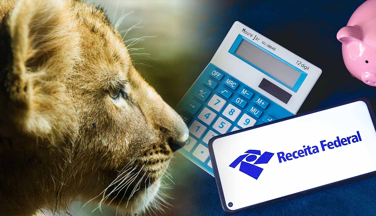 Imagem de um leão ao lado de calculadora, celular com aplicativo do Imposto de Renda e cofrinho de moedas