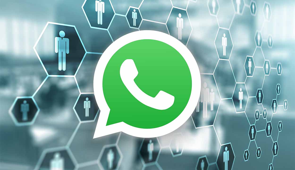 Plano de fundo com várias colmeias e representações de pessoas interligadas entre si. No centro, está a logo do aplicativo WhatsApp.