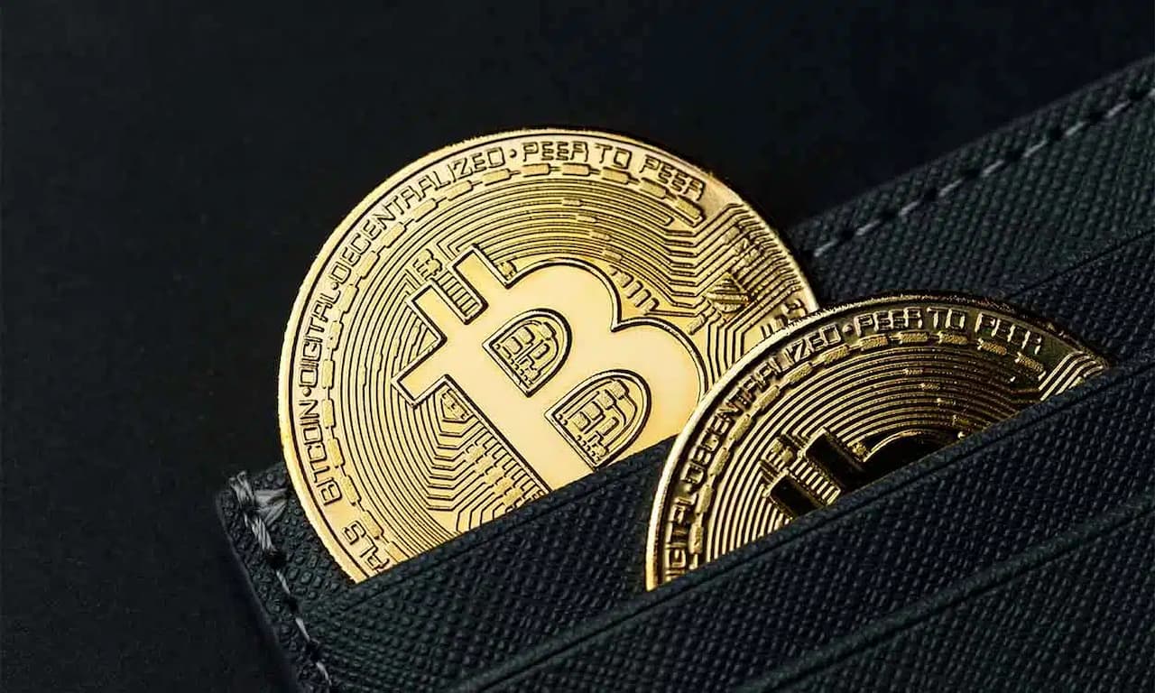 Carteira com duas moedas douradas de Bitcoin