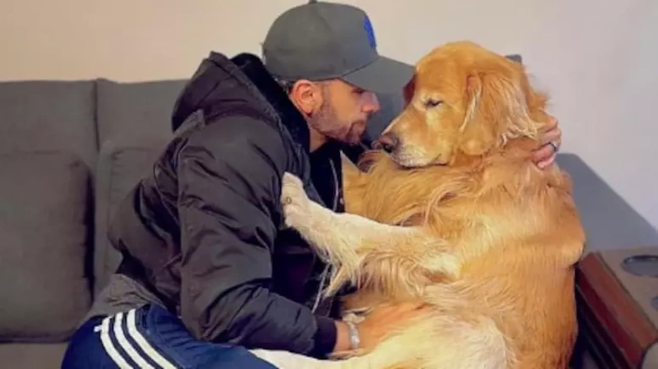 Imagem de um homem e um cão da raça Golden sentados no sofá