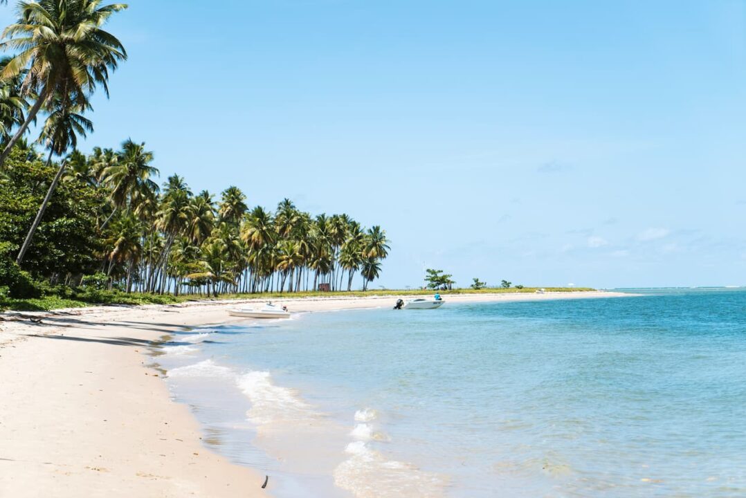 Imagem da praia de Carneiros