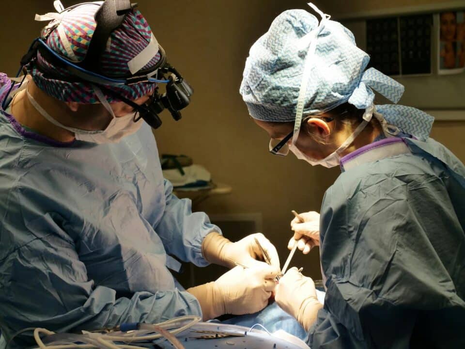 transplante de órgãos