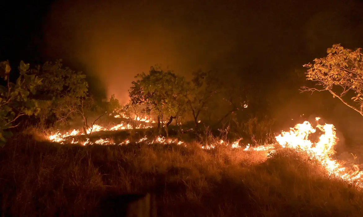 Incêndios no Pantanal: PF estima prejuízo de R$ 200 milhões