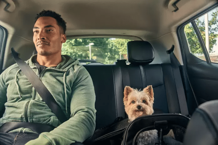 Uber Pet: modalidade cresce em cidades brasileiras