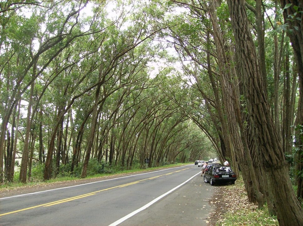 Melhores praias de Balneário Pinhal