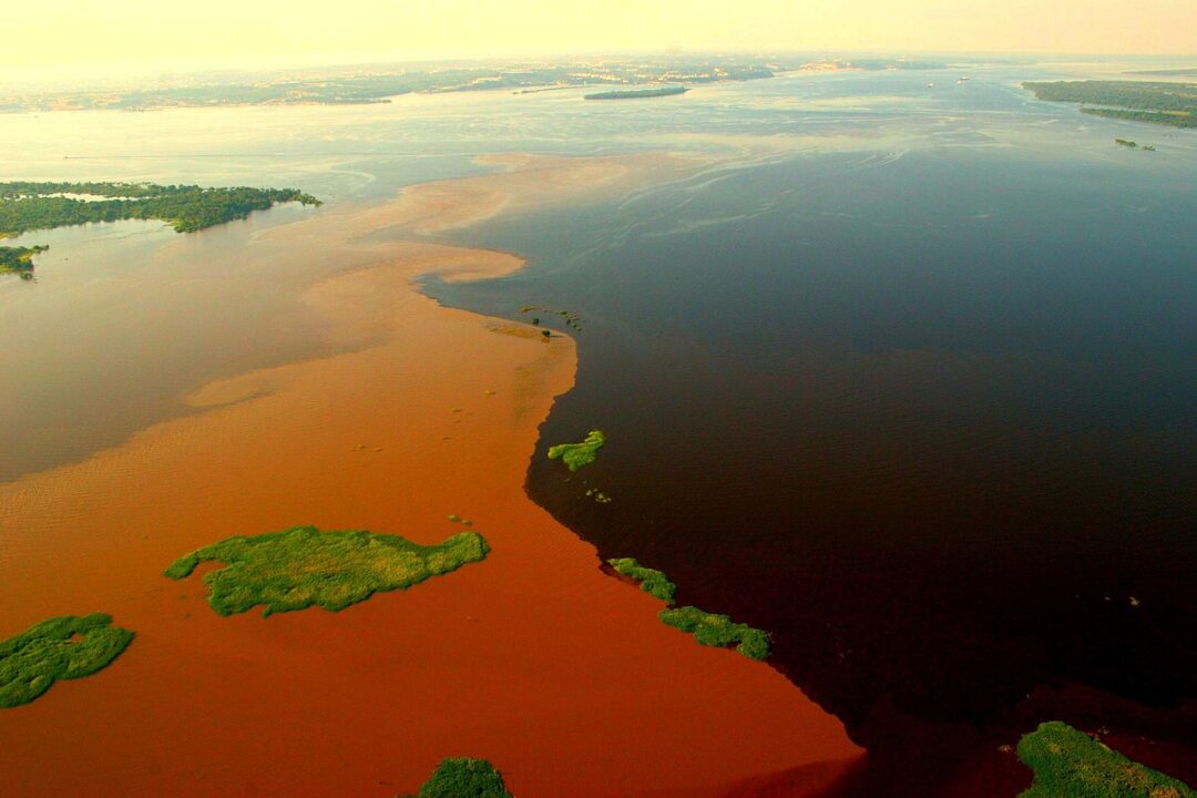 Melhores praias de Manaus