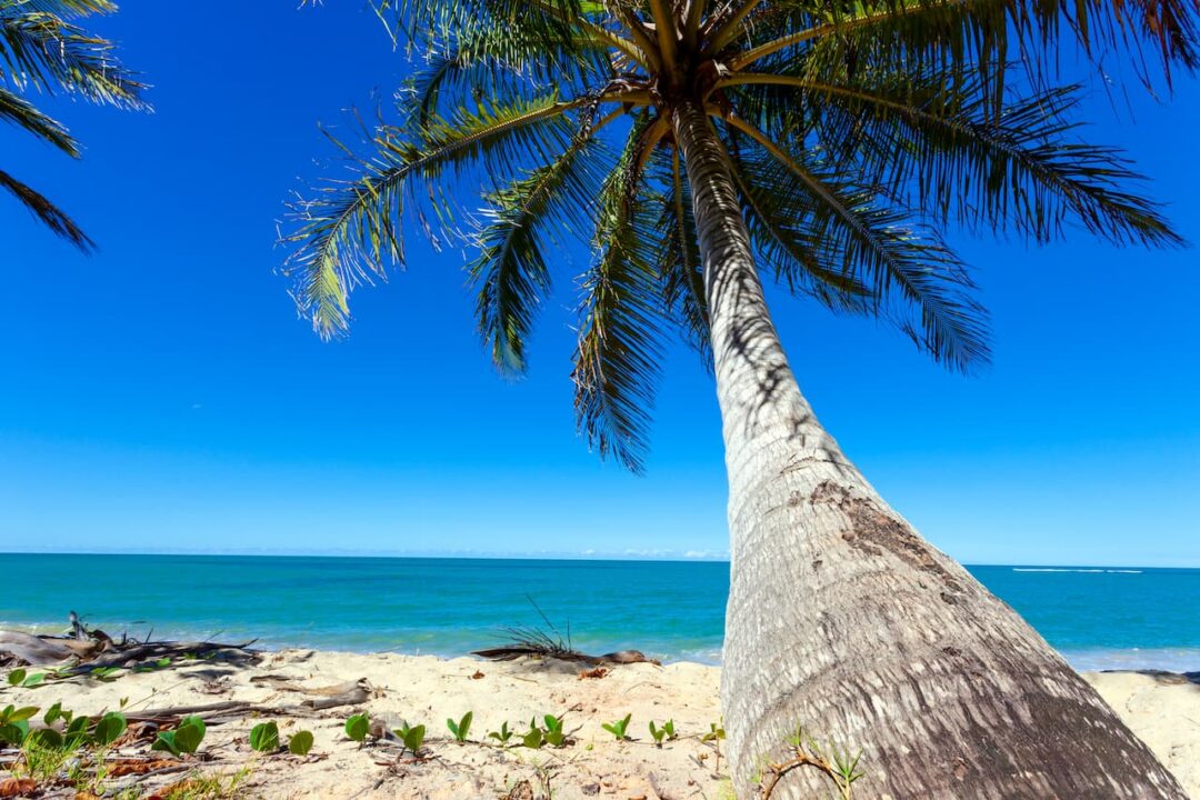 Melhores praias de Trancoso