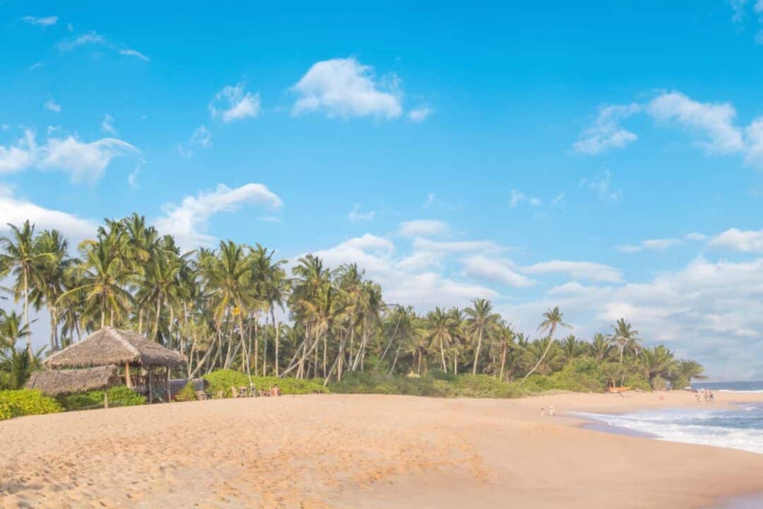 Melhores praias de Praia do Forte