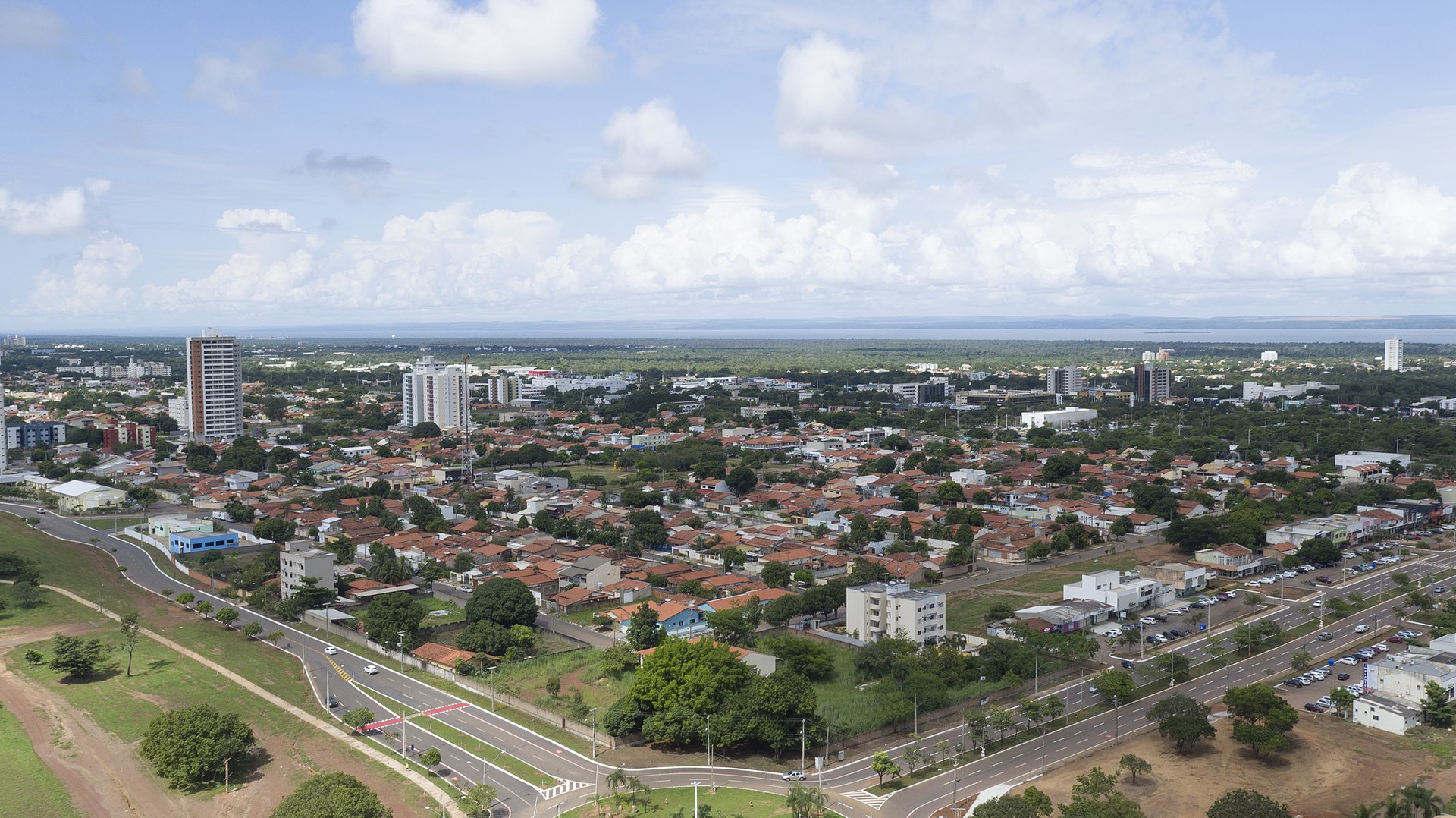 Palmas