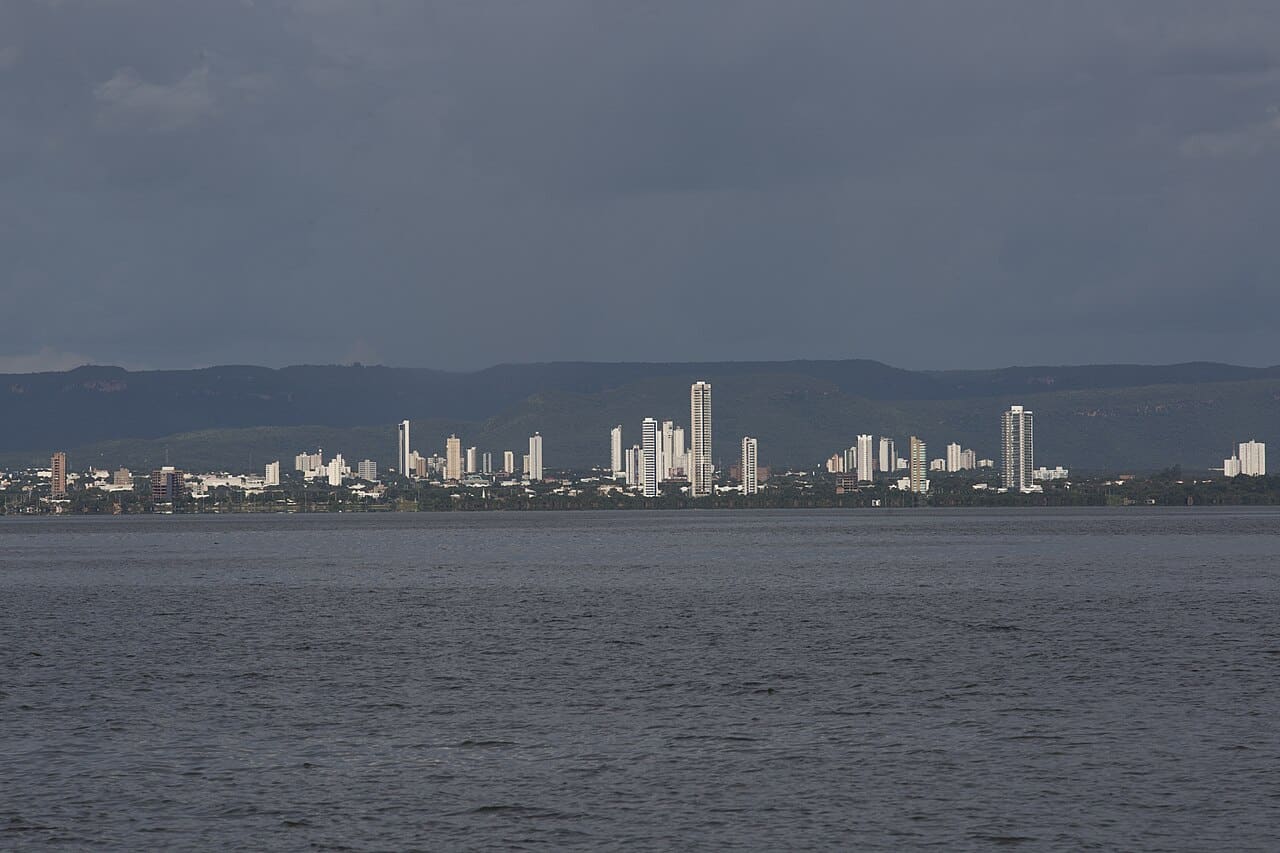 Palmas