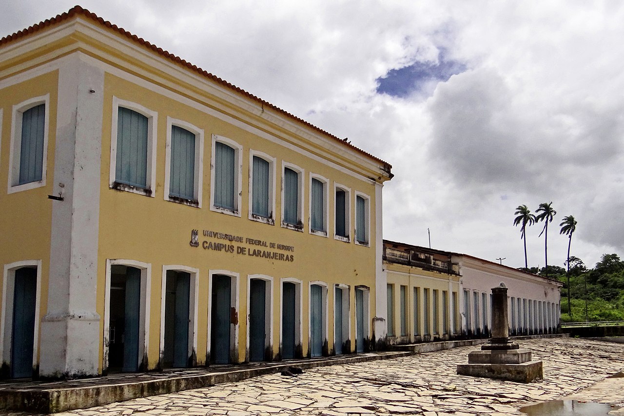 Laranjeiras aposentados