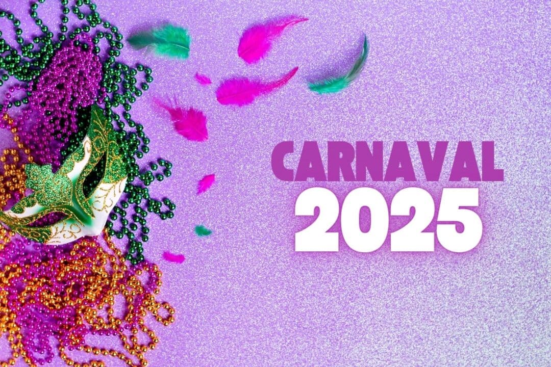 carnaval procon