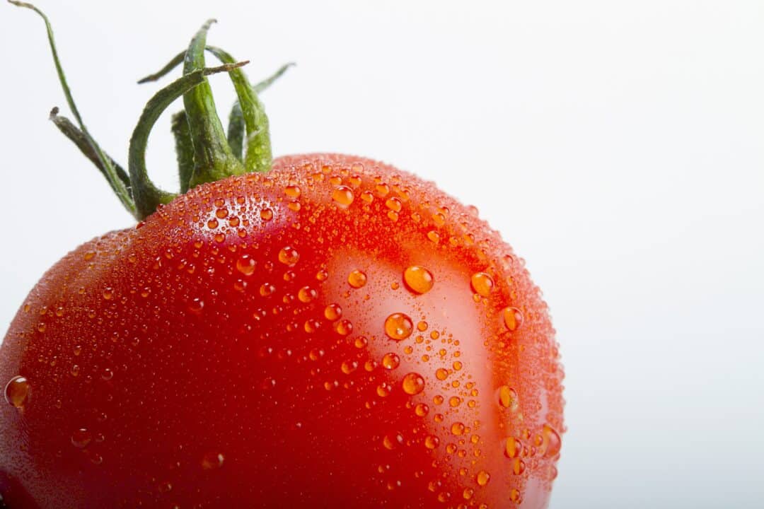 tomate