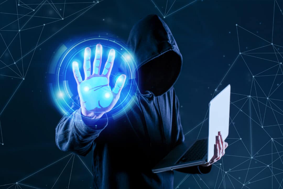 crimes virtuais cibersegurança 2
