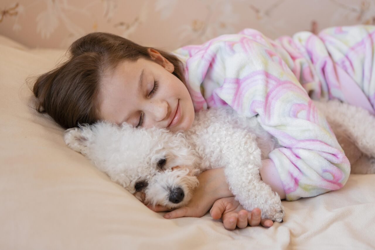 Dormir com o pet: hábito saudável ou erro silencioso?