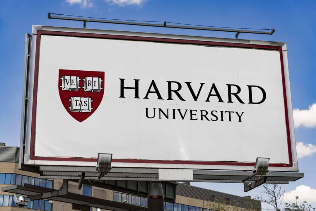 Brasileira harvard
