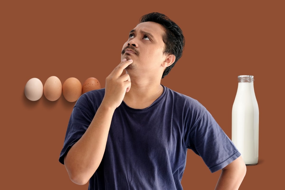 Quanto de proteína é ideal por dia? Especialistas revelam a recomendação certa