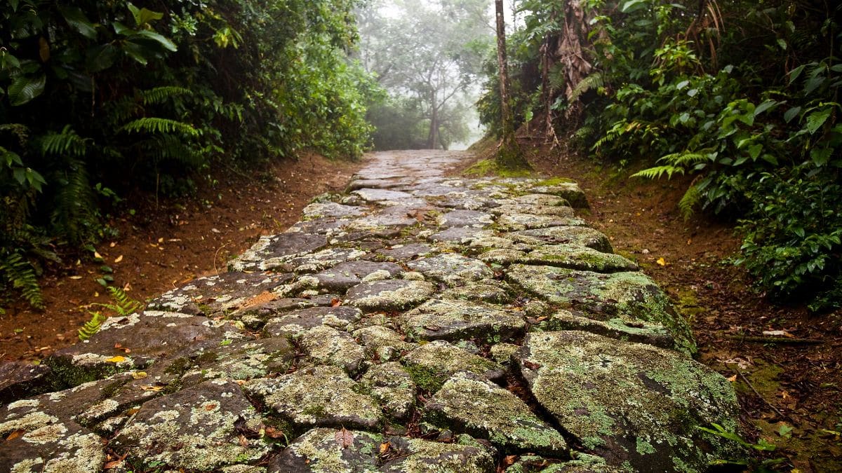 Melhores trilhas para fazer em Paraty: descubra a natureza por caminhos inesquecíveis