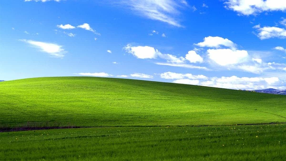 Windows XP