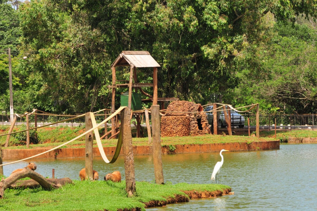 Zoológico