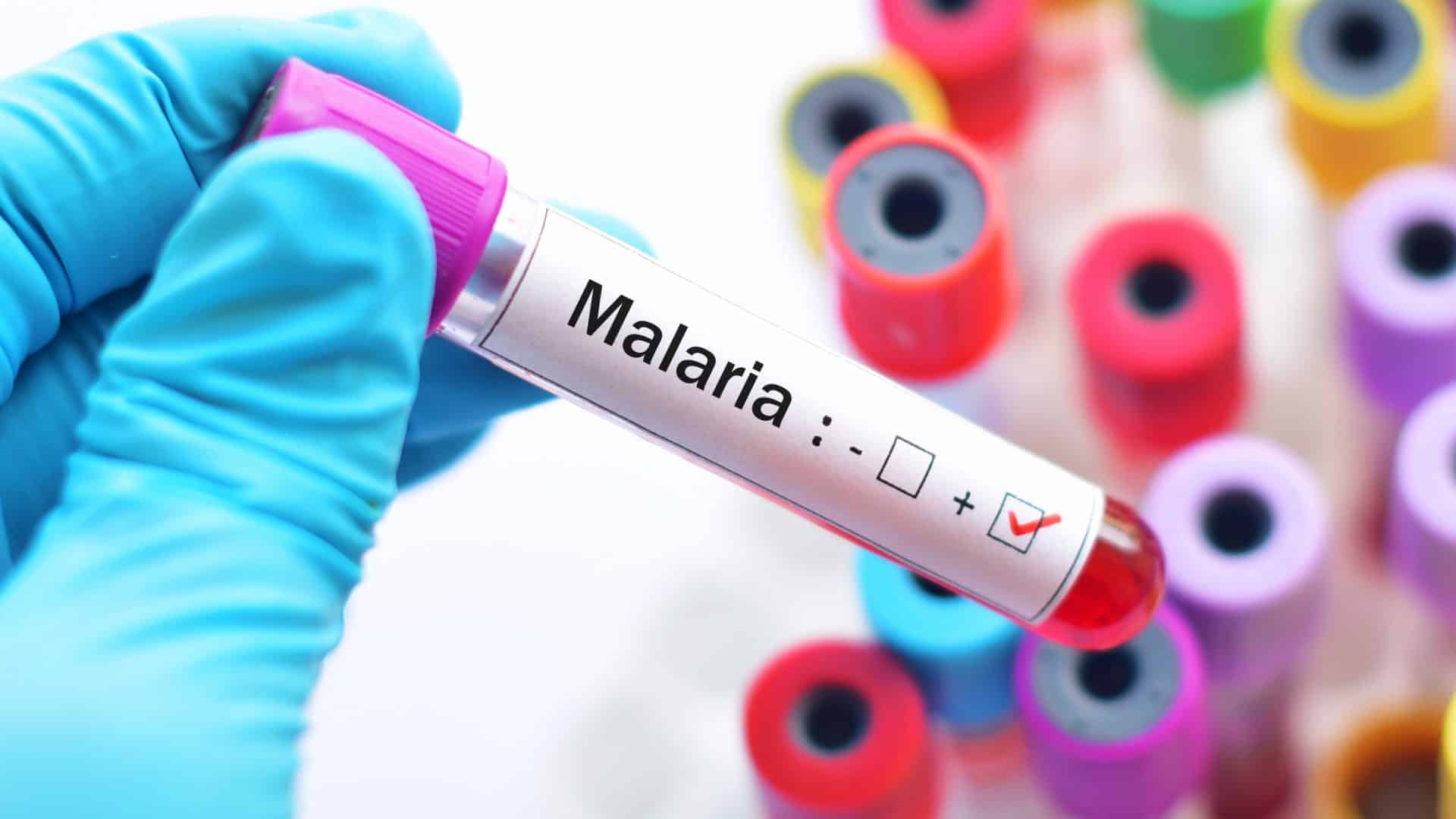 Esperança contra a malária: tratamento inédito para bebês é aprovado