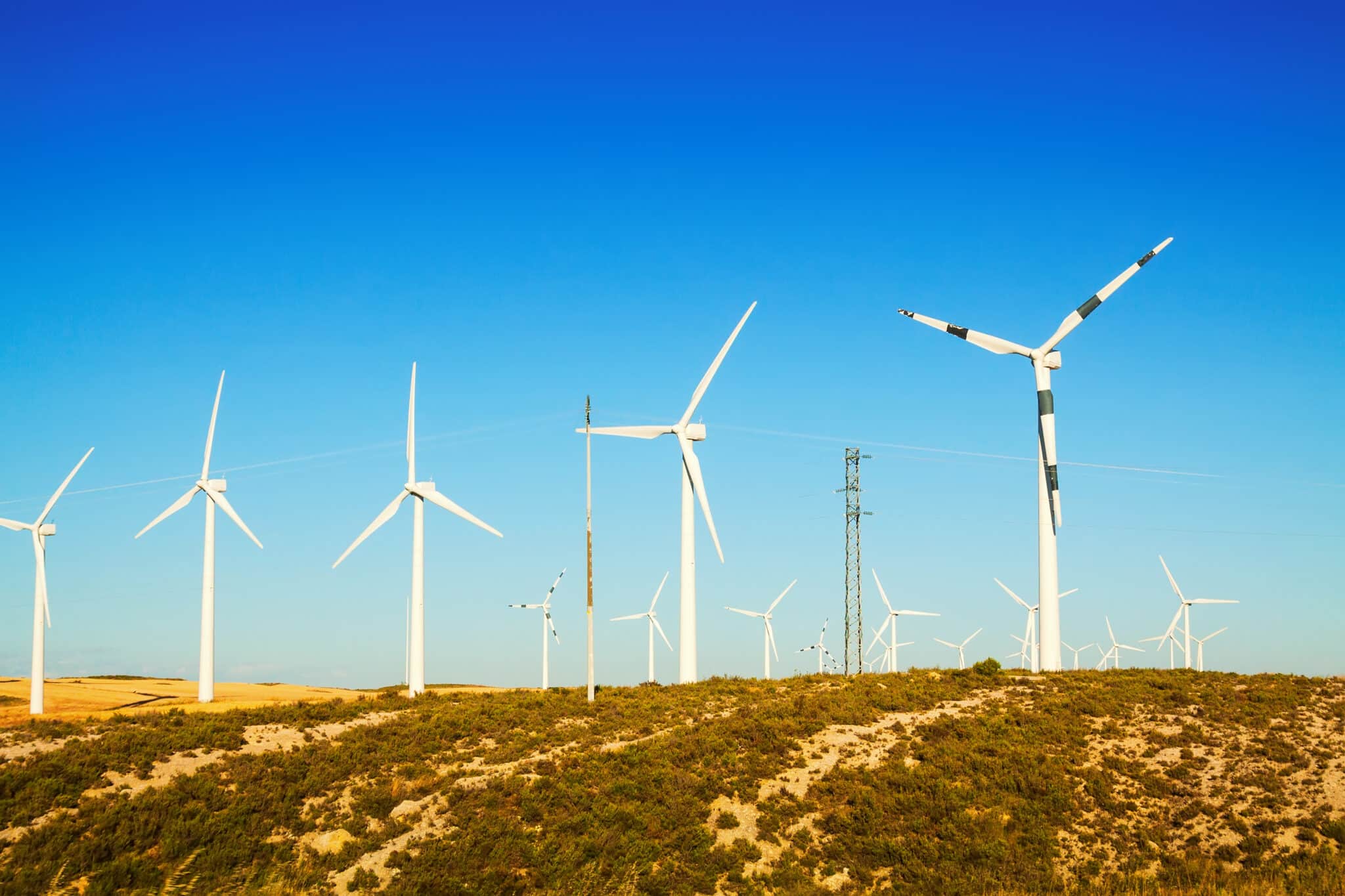 Queda de investimentos ameaça expansão da energia eólica no Brasil