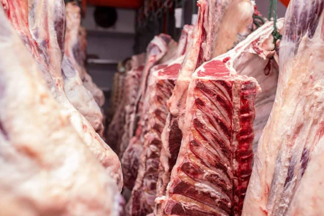tarifaço carne