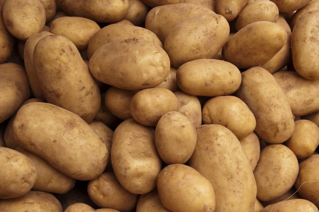 batata inglesa