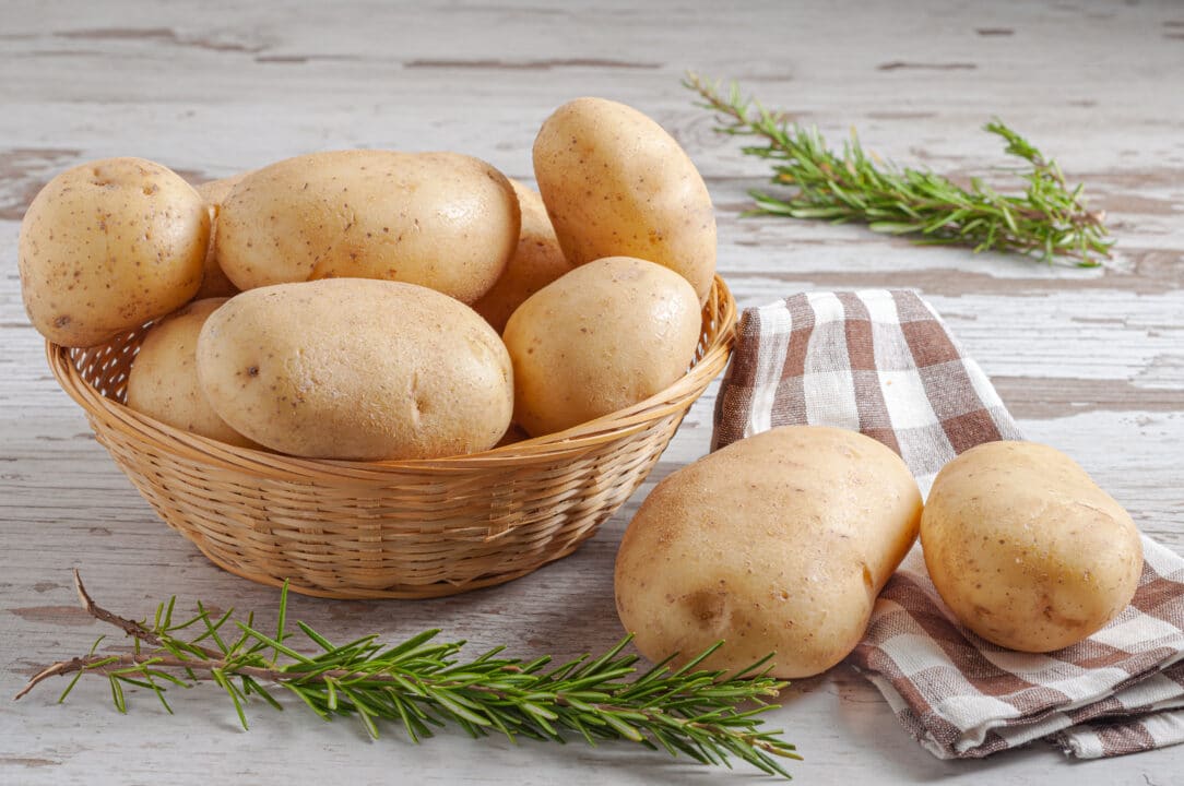 BATATA INGLESA