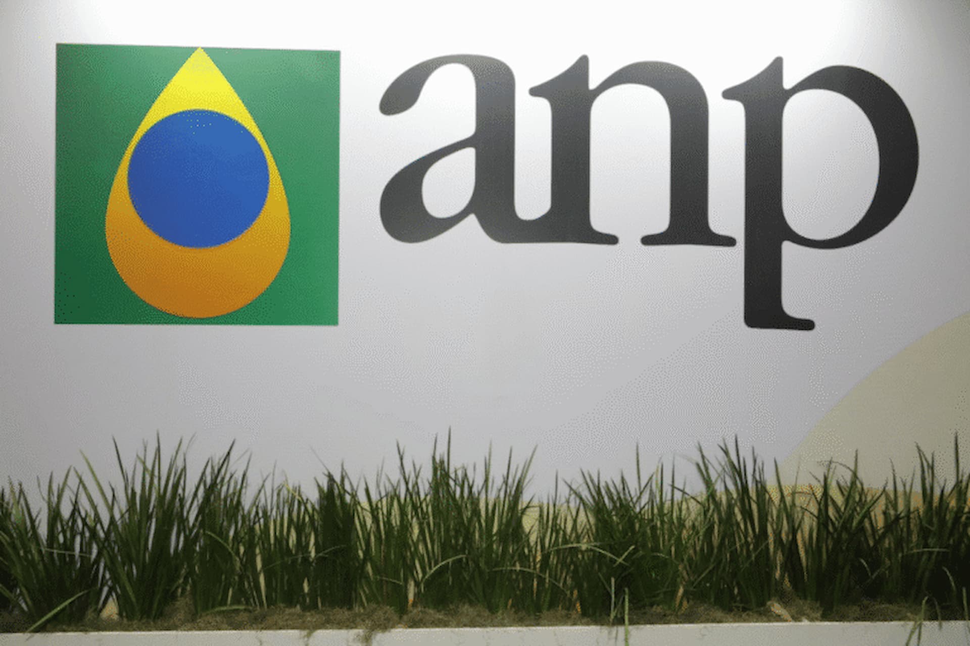 anp