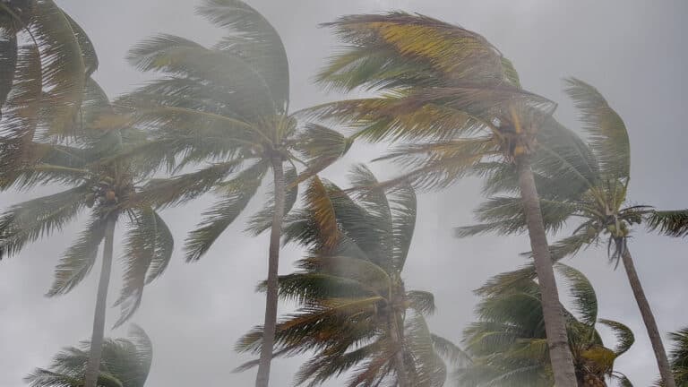 Temporal com ventos de até 160 km/h permite saque do FGTS em áreas afetadas