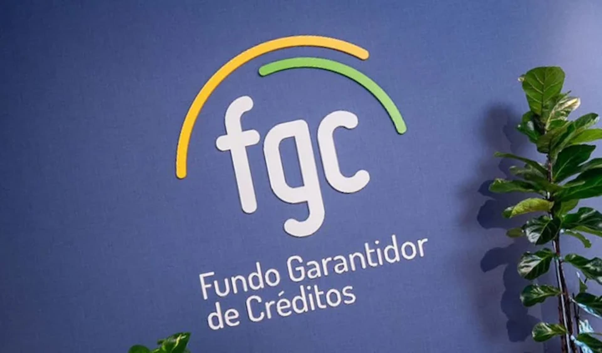 FGC pode ser acionado em eventual liquidação do Digimais; entenda