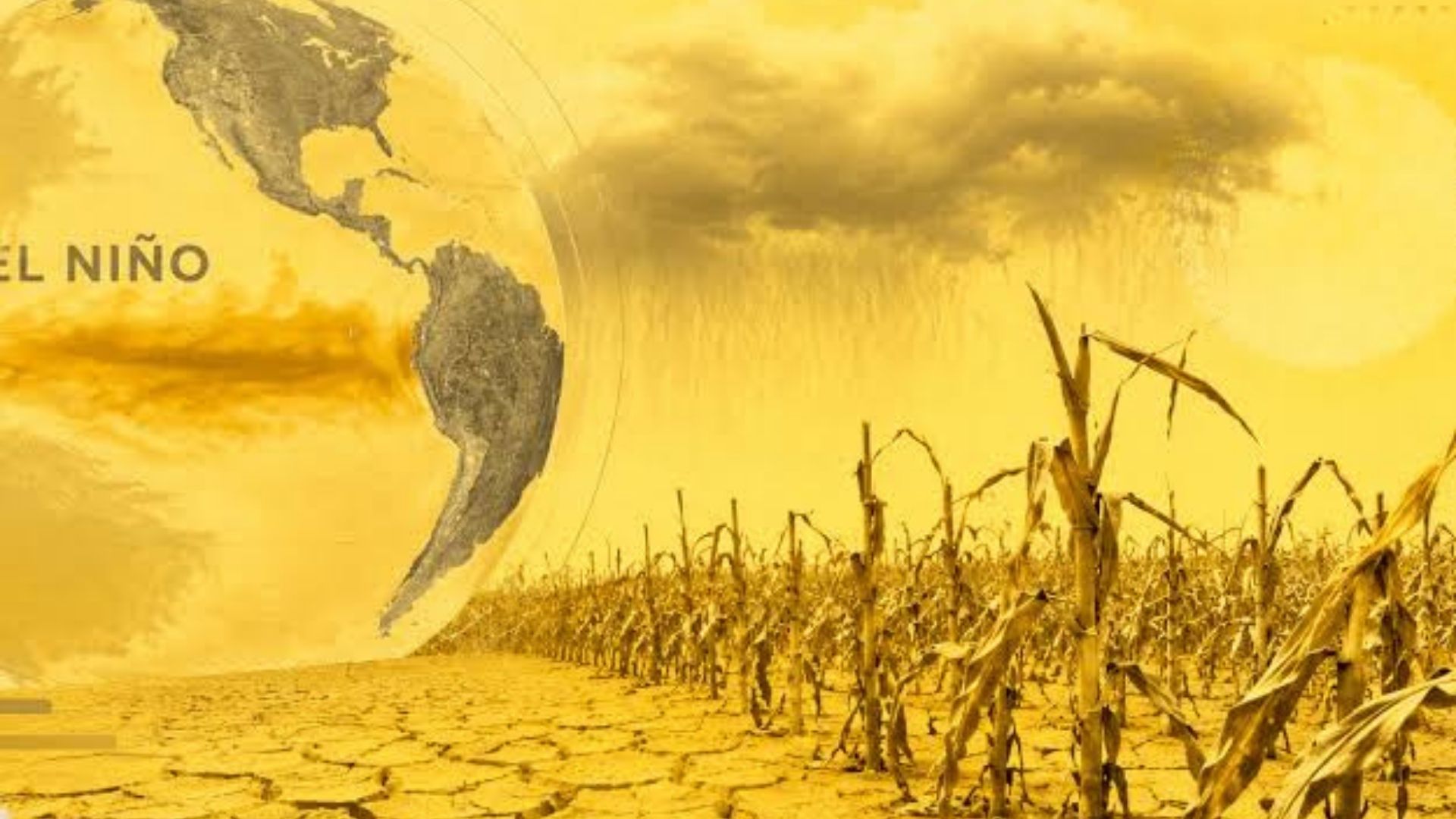 El Niño deve ganhar força até o fim de 2026; entenda os impactos no Brasil